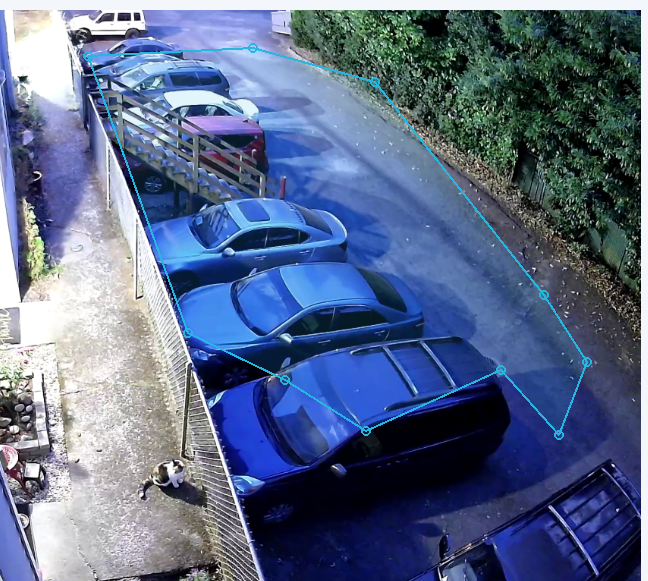 A large polygon area adjusted to cover most of the driveway